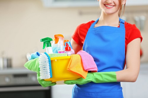 Professional cleaner in Wandsworth for local home cleaning