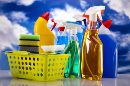 Professional domestic cleaning in a Wandsworth home living room