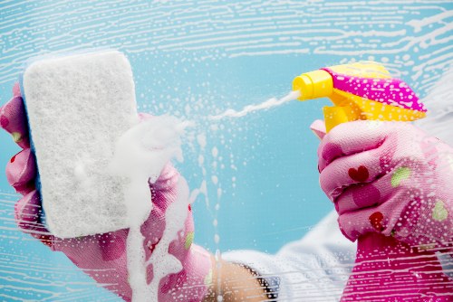 Carpet care in a busy Wandsworth household