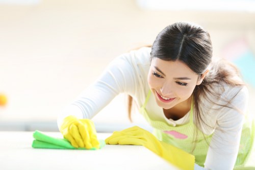 Stain removal process by a carpet cleaner in Wandsworth