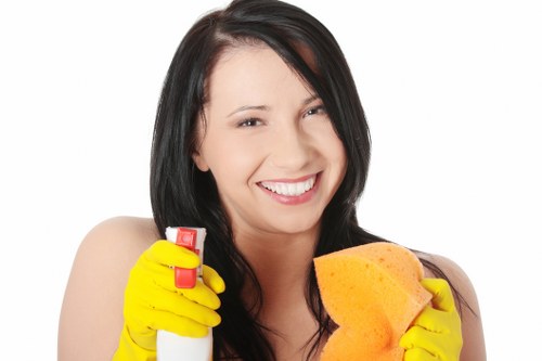 Graphic showing cookie categories for a carpet cleaning website